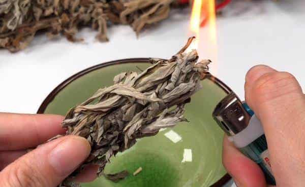 alt text: Hình ảnh đốt ngải cứu đuổi dĩn