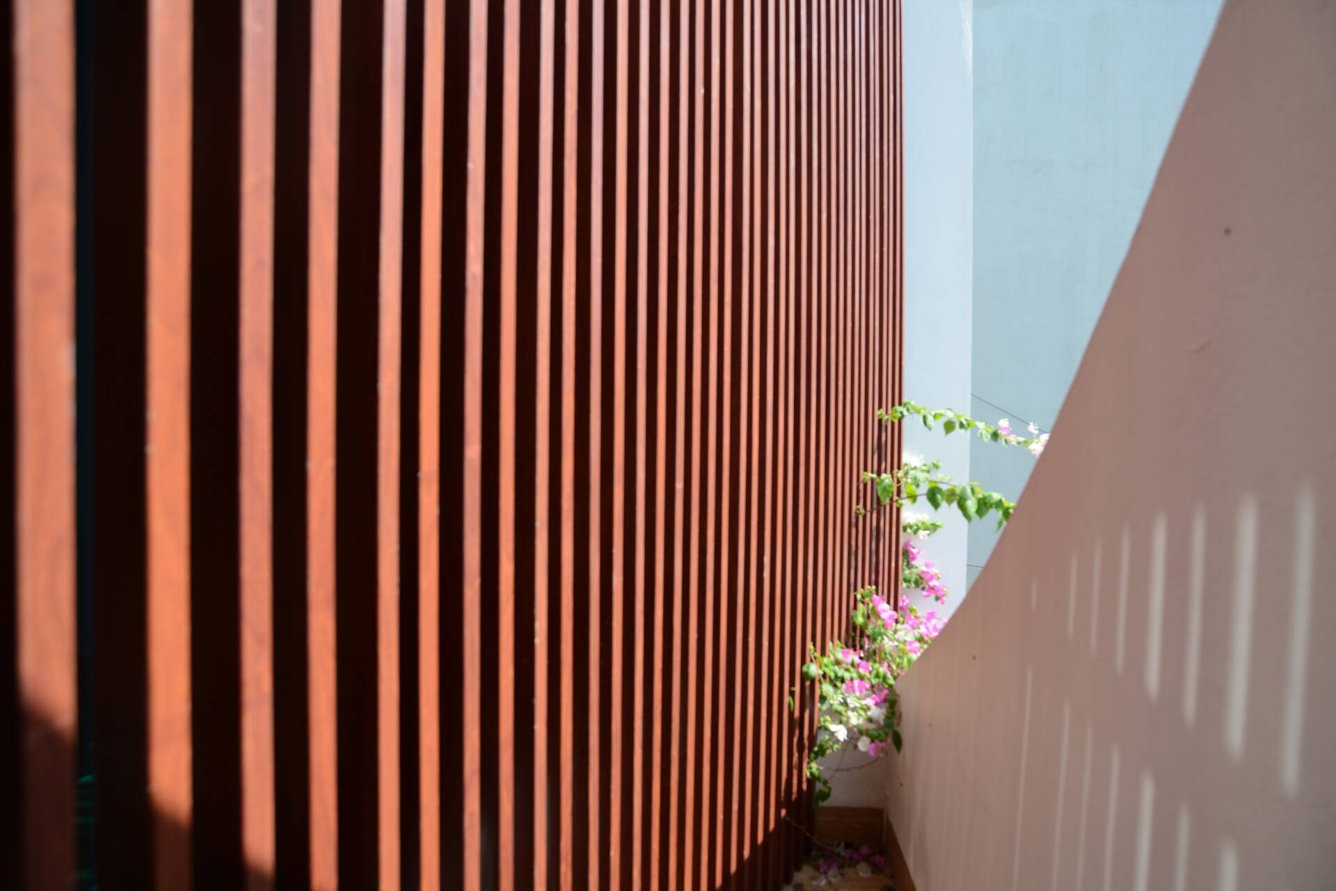 Cây xanh trong nhà 2 tầng 1 tum