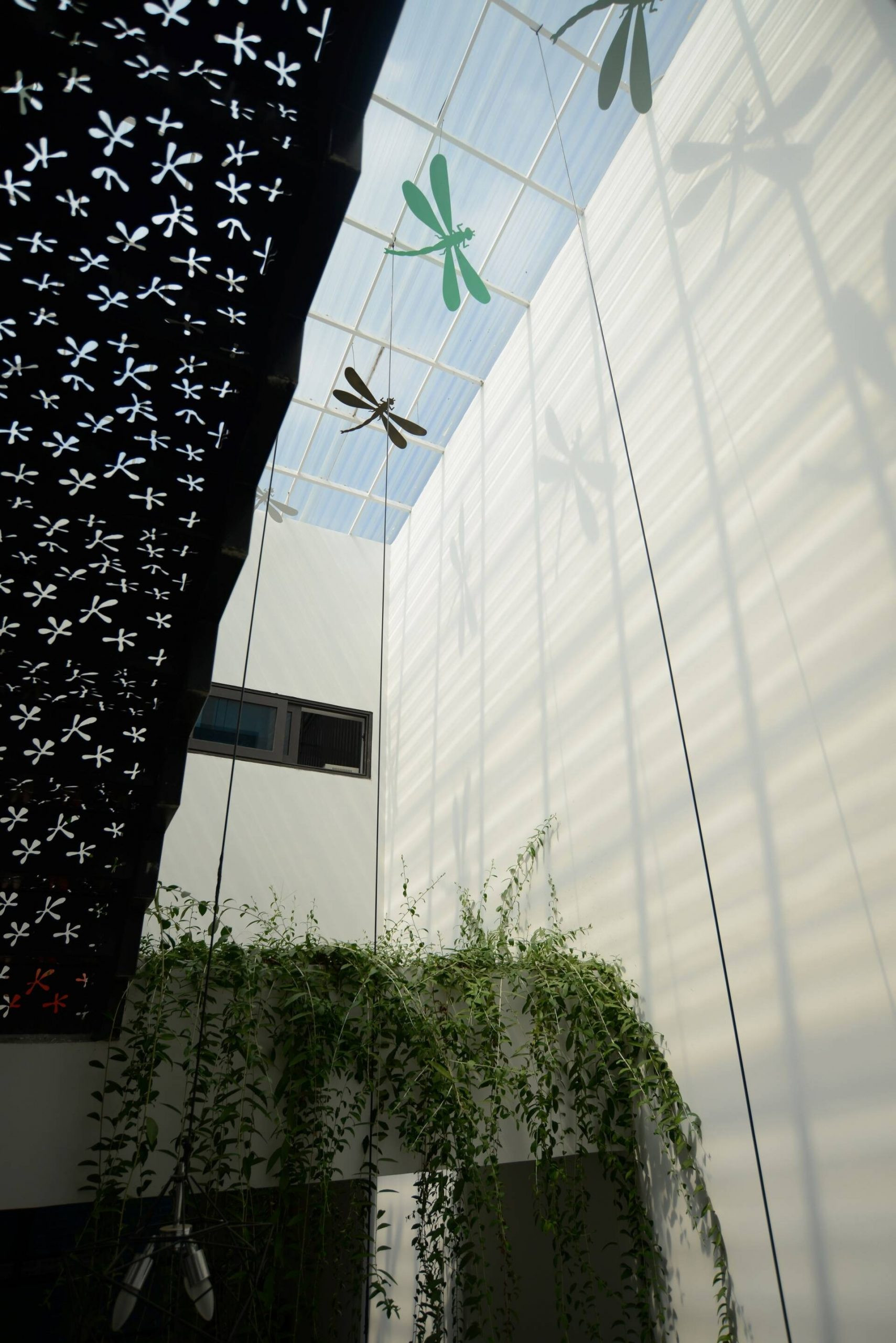 Giếng trời mang lại ánh sáng và không khí trong lành