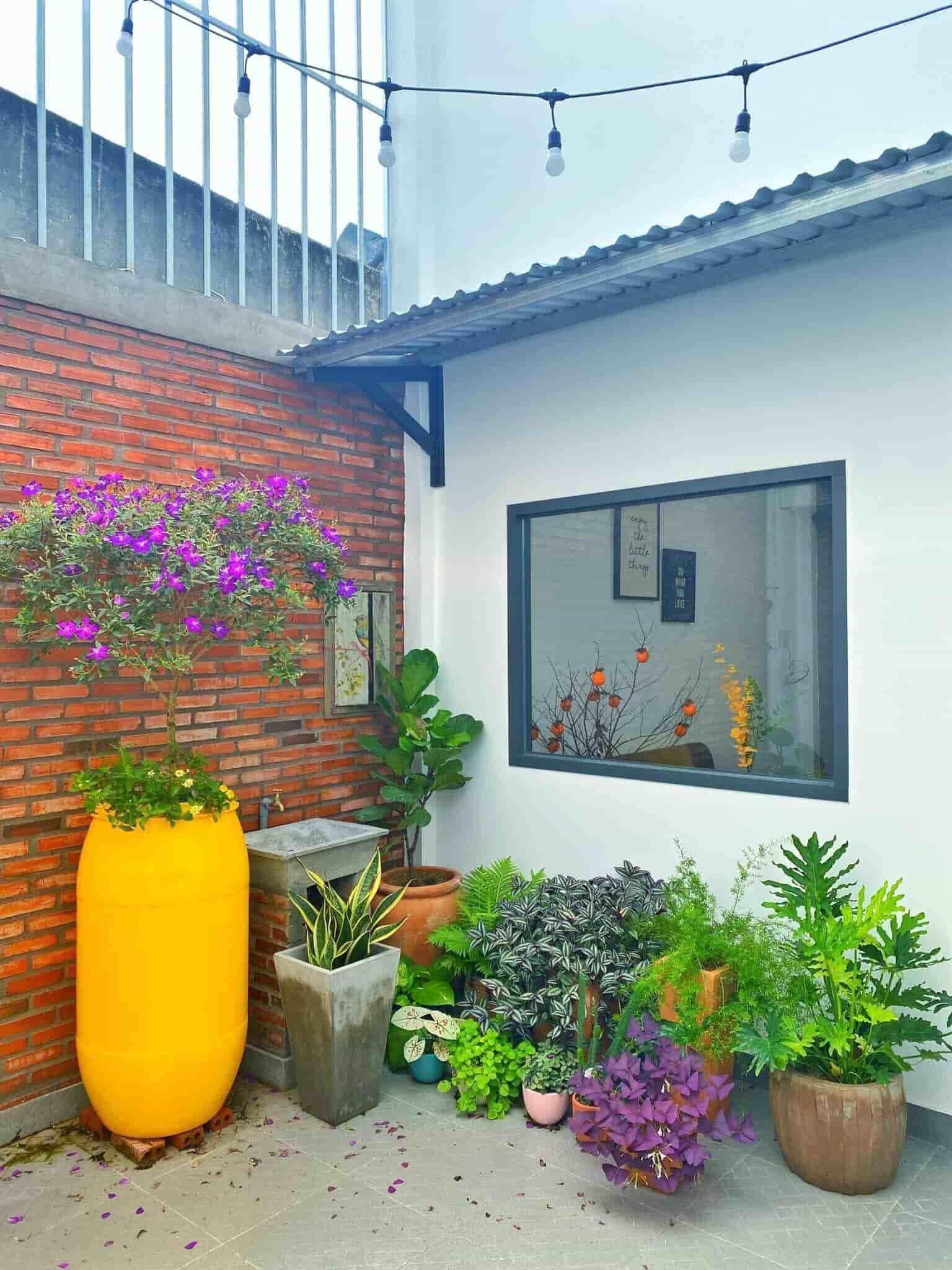 Góc nhìn khác sân vườn