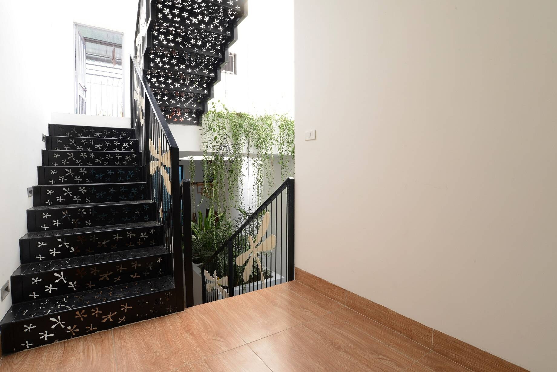 Hình ảnh chuồn chuồn trang trí