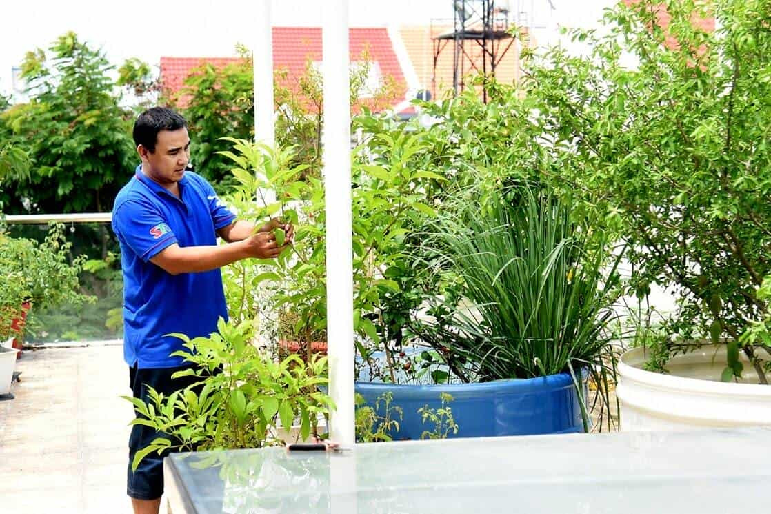 Khu vườn nhà của nghệ sĩ Quyền Linh