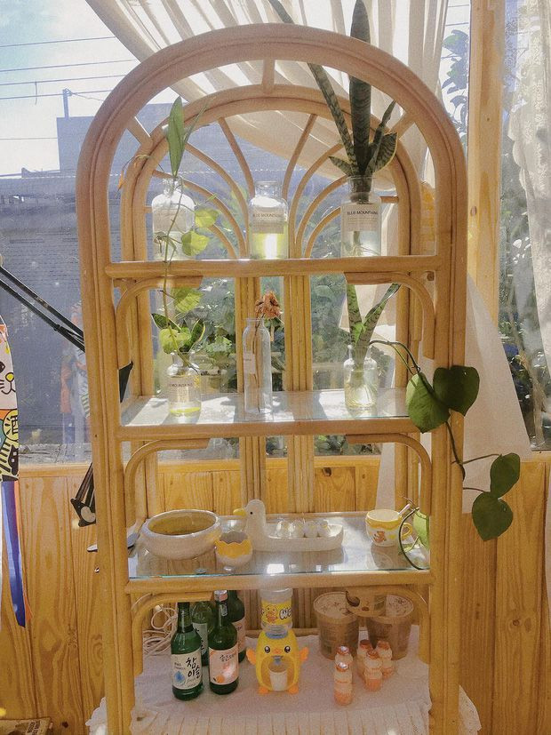 Một trí cây xanh để không khí trong nhà thêm mát mẻ, tươi mới