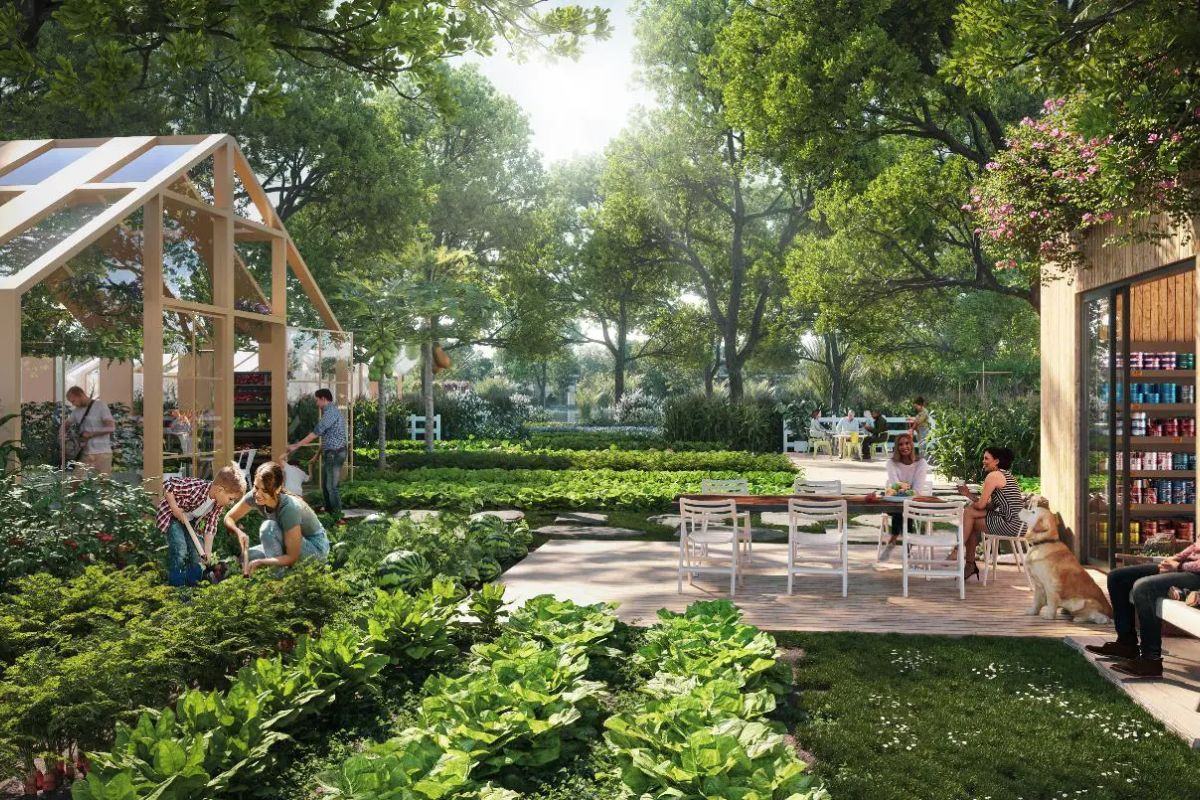 Bức tranh Blue Zones Ecovillage Saigon River có những gì?