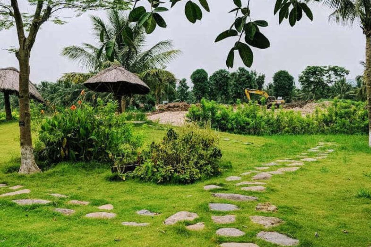 Nguyên tắc trồng cây tại Ecovillage Saigon River có gì?