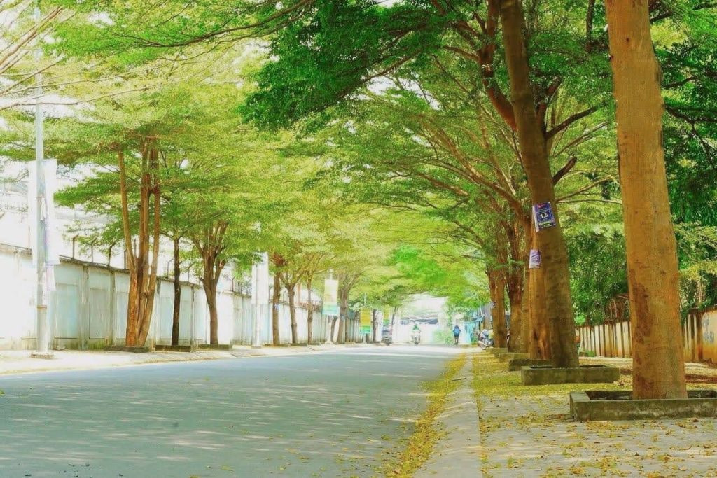 Cơ sở ở Ehome 3