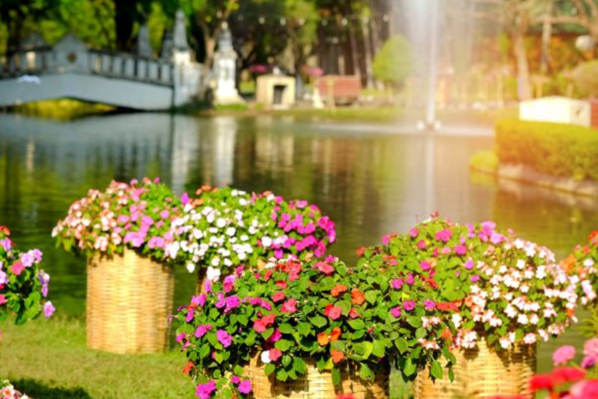 Tiết lộ vẻ đẹp hút hồn của đảo hoa Ecovillage Saigon River