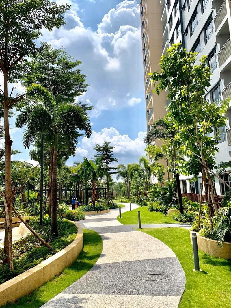 Hồ bơi tại Palm Heights