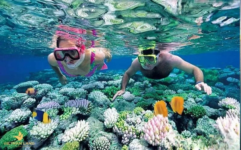 Bật mí các tiện ích dự án Libera Nha Trang có điều gì nổi bật
