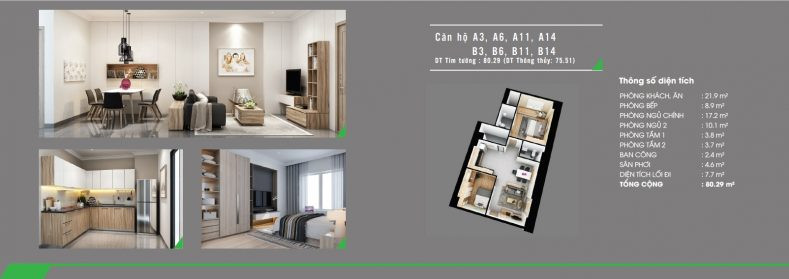 Mặt bằng chi tiết chung cư Homyland 3 Riverside 