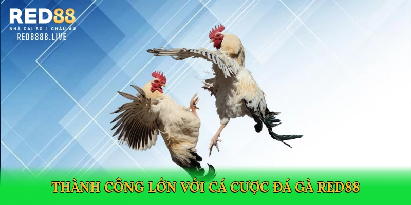 Đá Gà Online – Trải Nghiệm Cá Cược Kịch Tính Tại Red88