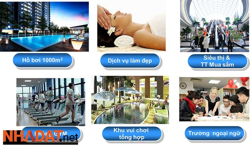 Thời Gian Bàn Giao Dự Kiến Căn Hộ Raemian An Phú