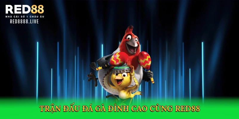 Đá Gà Online – Trải Nghiệm Cá Cược Kịch Tính Tại Red88
