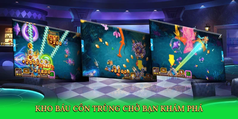 Kho báu côn trùng chờ bạn khám phá