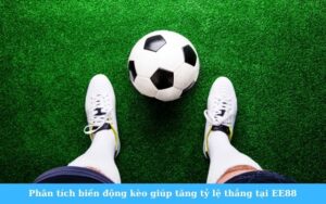 Đánh Giá Dự Án Saigon Royal Residence: Dự Án Đẳng Cấp Tại Trung Tâm TP.HCM